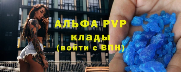 индика Бородино
