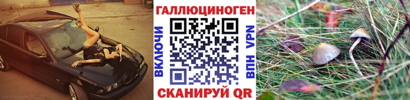 omg tor  хочу наркоту  нарко площадка наркотические препараты  Галлюциногенные грибы Psilocybine cubensis  Давлеканово 